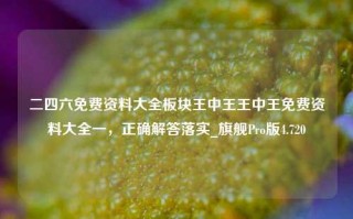 二四六免费资料大全板块王中王王中王免费资料大全一，正确解答落实_旗舰Pro版4.720