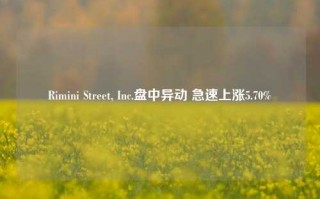 Rimini Street, Inc.盘中异动 急速上涨5.70%