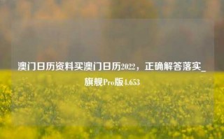 澳门日历资料买澳门日历2022，正确解答落实_旗舰Pro版4.653