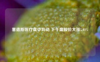 塞德斯医疗盘中异动 下午盘股价大涨5.01%