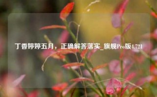 丁香婷婷五月，正确解答落实_旗舰Pro版4.721