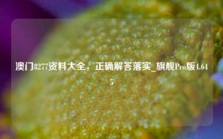 澳门8277资料大全，正确解答落实_旗舰Pro版4.645