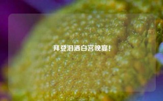 拜登泪洒白宫晚宴！