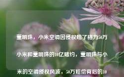 董明珠，小米空调因侵权赔了格力50万小米和董明珠的10亿赌约，董明珠与小米的空调侵权风波，50万赔偿背后的10亿赌约