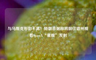 与马斯克形影不离！特朗普据称将前往德州观看SpaceX“星舰”发射