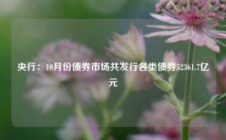 央行：10月份债券市场共发行各类债券52361.7亿元