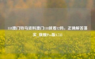 118澳门特马资料澳门118就看12码，正确解答落实_旗舰Pro版4.733