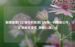 新澳新澳门正版资料新澳门内部一码精准公开，正确解答落实_旗舰Pro版4.734