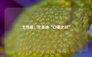 王传福：比亚迪“口罩之战”