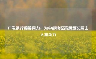 广发银行绵绵用力，为中部地区高质量发展注入新动力