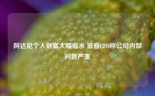 阿达尼个人财富大幅缩水 波音CEO称公司内部问题严重