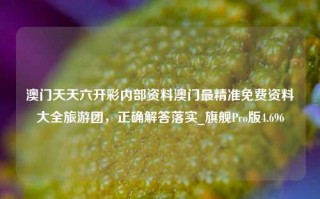 澳门天天六开彩内部资料澳门最精准免费资料大全旅游团，正确解答落实_旗舰Pro版4.696