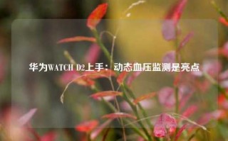 华为WATCH D2上手：动态血压监测是亮点