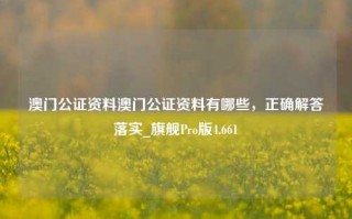 澳门公证资料澳门公证资料有哪些，正确解答落实_旗舰Pro版4.661