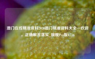 澳门在线精准资料2020澳门精准资料大全—欢迎，正确解答落实_旗舰Pro版4.716