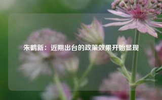 朱鹤新：近期出台的政策效果开始显现