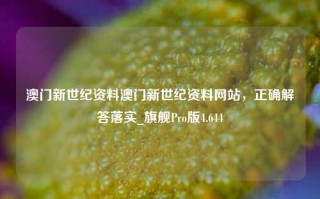 澳门新世纪资料澳门新世纪资料网站，正确解答落实_旗舰Pro版4.644