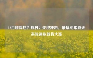 12月难降息？野村：关税冲击，最早明年夏天实际通胀就将大涨