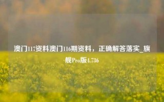 澳门117资料澳门116期资料，正确解答落实_旗舰Pro版4.736