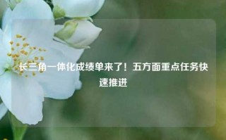 长三角一体化成绩单来了！五方面重点任务快速推进