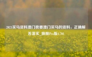 2021买马资料澳门我要澳门买马的资料，正确解答落实_旗舰Pro版4.701