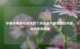 中国平煤神马亚洲首个深地盐穴储氢项目开建，加码布局氢能