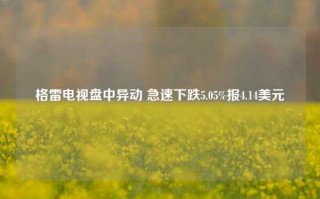 格雷电视盘中异动 急速下跌5.05%报4.14美元