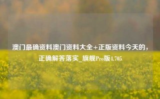 澳门最确资料澳门资料大全+正版资料今天的，正确解答落实_旗舰Pro版4.705