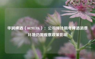 华润啤酒（00291.HK）：公司预计明年啤酒消费环境仍需观察政策影响