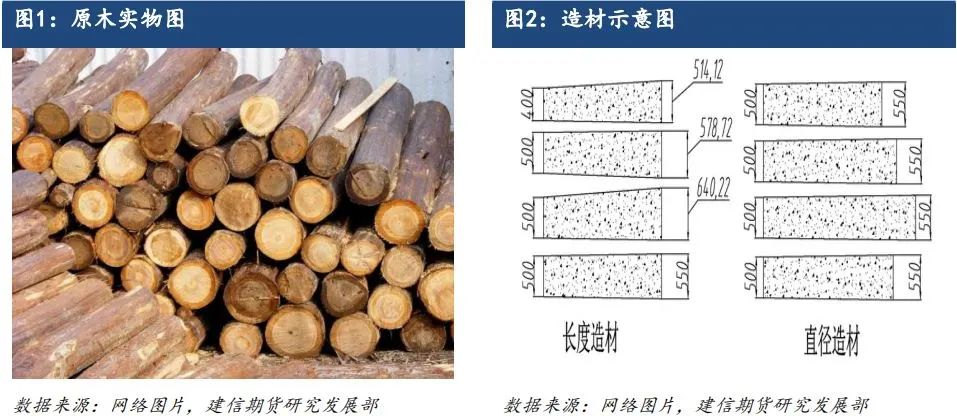 原木期货上市系列专题一：原木基础知识及产业链格局-第2张图片-车辆报废_报废车厂_报废汽车回收_北京报废车-「北京报废汽车解体中心」