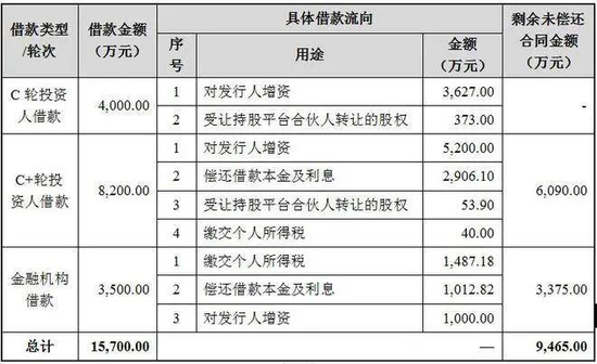 胜科纳米IPO：实控人举债增持公司股份，二十年押上全部身家，办出“芯片全科医院”-第2张图片-车辆报废_报废车厂_报废汽车回收_北京报废车-「北京报废汽车解体中心」