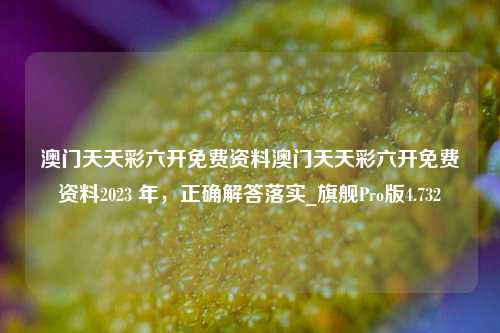 澳门天天彩六开免费资料澳门天天彩六开免费资料2023 年，正确解答落实_旗舰Pro版4.732-第1张图片-车辆报废_报废车厂_报废汽车回收_北京报废车-「北京报废汽车解体中心」