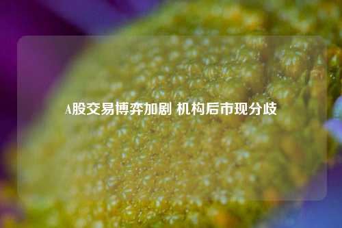 A股交易博弈加剧 机构后市现分歧-第1张图片-车辆报废_报废车厂_报废汽车回收_北京报废车-「北京报废汽车解体中心」