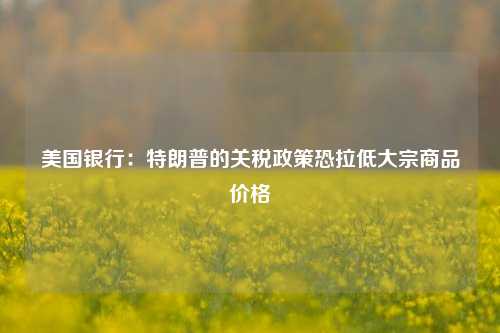 美国银行：特朗普的关税政策恐拉低大宗商品价格-第1张图片-车辆报废_报废车厂_报废汽车回收_北京报废车-「北京报废汽车解体中心」