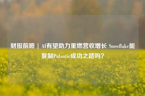 财报前瞻 | AI有望助力重燃营收增长 Snowflake能复制Palantir成功之路吗？-第1张图片-车辆报废_报废车厂_报废汽车回收_北京报废车-「北京报废汽车解体中心」