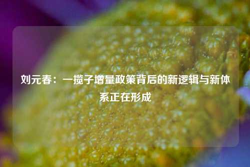 刘元春：一揽子增量政策背后的新逻辑与新体系正在形成-第1张图片-车辆报废_报废车厂_报废汽车回收_北京报废车-「北京报废汽车解体中心」