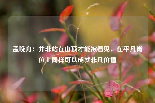 孟晚舟：并非站在山顶才能被看见，在平凡岗位上同样可以成就非凡价值-第1张图片-车辆报废_报废车厂_报废汽车回收_北京报废车-「北京报废汽车解体中心」