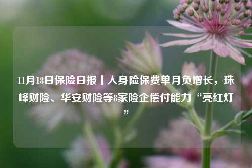 11月18日保险日报丨人身险保费单月负增长，珠峰财险、华安财险等8家险企偿付能力“亮红灯”-第1张图片-车辆报废_报废车厂_报废汽车回收_北京报废车-「北京报废汽车解体中心」