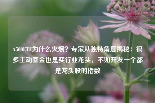 A500ETF为什么火爆？专家从独特角度揭秘：很多主动基金也是买行业龙头，不如开发一个都是龙头股的指数-第1张图片-车辆报废_报废车厂_报废汽车回收_北京报废车-「北京报废汽车解体中心」