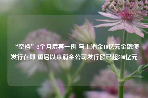 “空档”2个月后再一例 马上消金10亿元金融债发行在即 重启以来消金公司发行额已超500亿元-第1张图片-车辆报废_报废车厂_报废汽车回收_北京报废车-「北京报废汽车解体中心」