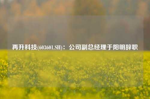 再升科技(603601.SH)：公司副总经理于阳明辞职-第1张图片-车辆报废_报废车厂_报废汽车回收_北京报废车-「北京报废汽车解体中心」