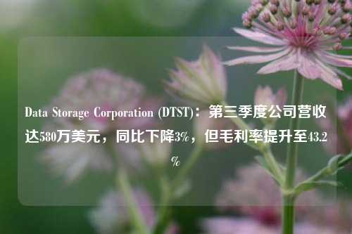 Data Storage Corporation (DTST)：第三季度公司营收达580万美元，同比下降3%，但毛利率提升至43.2%-第1张图片-车辆报废_报废车厂_报废汽车回收_北京报废车-「北京报废汽车解体中心」