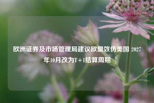 欧洲证券及市场管理局建议欧盟效仿美国 2027年10月改为T+1结算周期-第1张图片-车辆报废_报废车厂_报废汽车回收_北京报废车-「北京报废汽车解体中心」