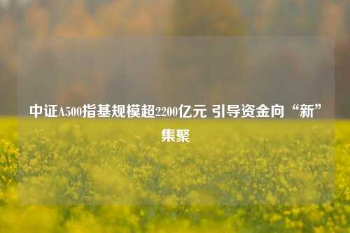 中证A500指基规模超2200亿元 引导资金向“新”集聚-第1张图片-车辆报废_报废车厂_报废汽车回收_北京报废车-「北京报废汽车解体中心」