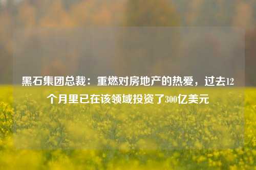 黑石集团总裁：重燃对房地产的热爱，过去12个月里已在该领域投资了300亿美元-第1张图片-车辆报废_报废车厂_报废汽车回收_北京报废车-「北京报废汽车解体中心」