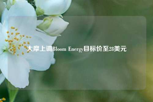 大摩上调Bloom Energy目标价至28美元-第1张图片-车辆报废_报废车厂_报废汽车回收_北京报废车-「北京报废汽车解体中心」