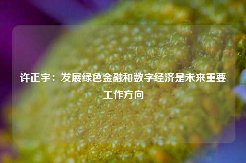 许正宇：发展绿色金融和数字经济是未来重要工作方向-第1张图片-车辆报废_报废车厂_报废汽车回收_北京报废车-「北京报废汽车解体中心」