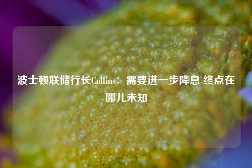 波士顿联储行长Collins：需要进一步降息 终点在哪儿未知-第1张图片-车辆报废_报废车厂_报废汽车回收_北京报废车-「北京报废汽车解体中心」