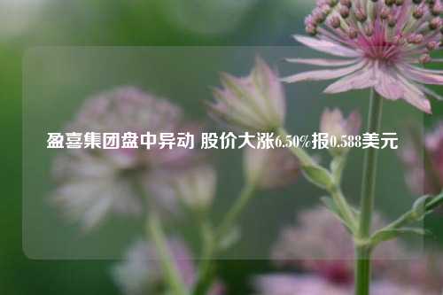 盈喜集团盘中异动 股价大涨6.50%报0.588美元-第1张图片-车辆报废_报废车厂_报废汽车回收_北京报废车-「北京报废汽车解体中心」