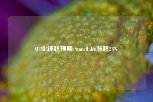 Q3业绩超预期 Snowflake涨超28%-第1张图片-车辆报废_报废车厂_报废汽车回收_北京报废车-「北京报废汽车解体中心」